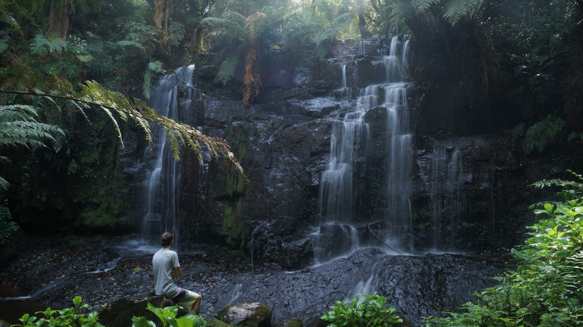 Person in contemplation by a forest waterfall
